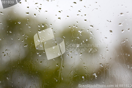 Image of Rainy Window Pane