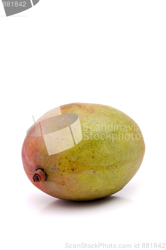 Image of Fresh Mango Fruit