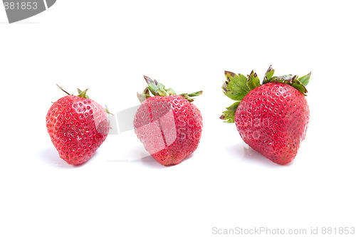 Image of Three Ripe Strawberries