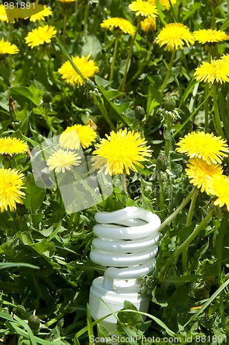 Image of Energy saving bulb in grass