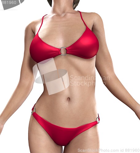 Image of Sexy Bikini Torso