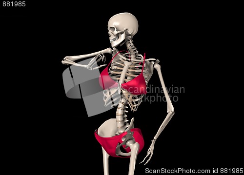 Image of Skeleton In A Bikini 