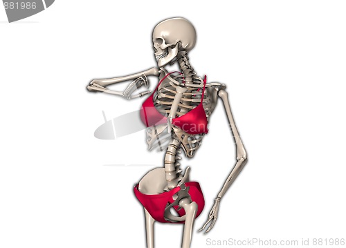 Image of Skeleton In A Bikini 