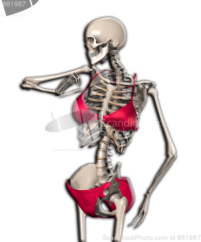 Image of Skeleton In A Bikini 