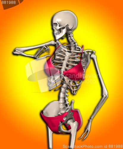 Image of Skeleton In A Bikini 