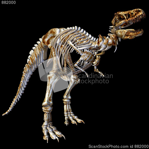 Image of Skeleton T-Rex