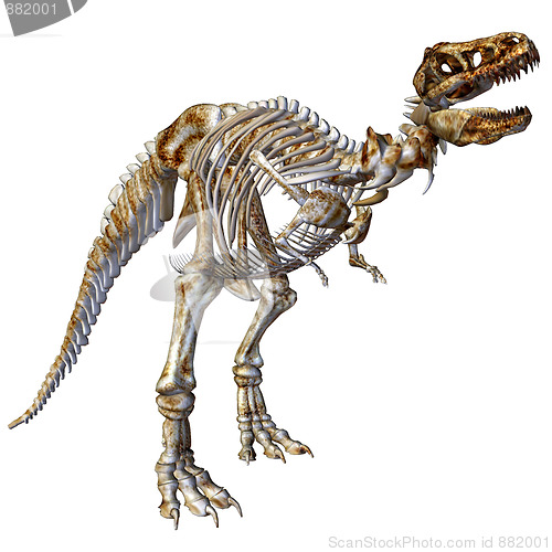 Image of Skeleton T-Rex