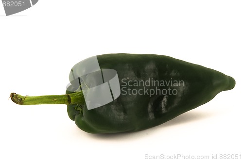 Image of Peppers