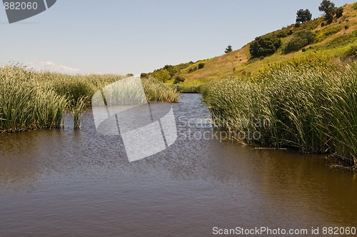 Image of Marsh