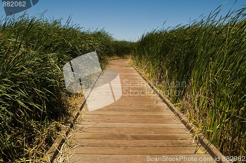 Image of Boardwalk