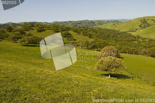 Image of Lake Del Valle