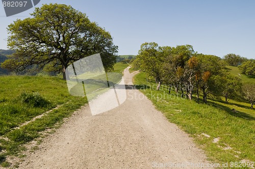 Image of Trail