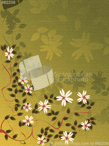 Image of Floral background