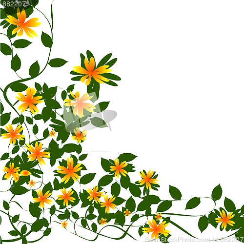 Image of Border floral