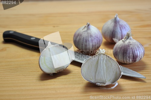 Image of Elephant Garlic on cutting board