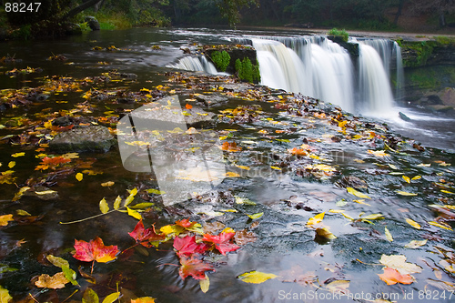 Image of Waterfall with red leafs