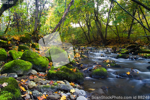 Image of River with mossy stones