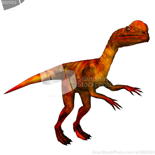 Image of Dinosaur Dilophosaurus