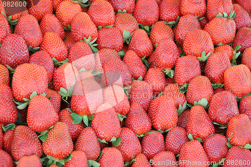 Image of Closeup Strawberries on the Market