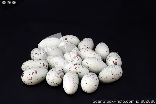 Image of bird eggs