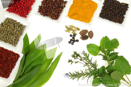 Image of Herbs and spices