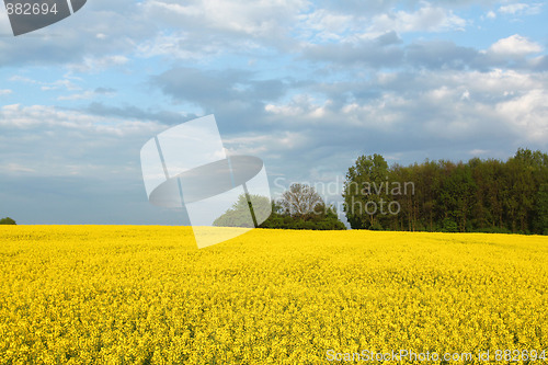 Image of Colorful spring landscape