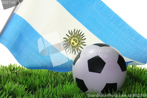 Image of World Cup 2010