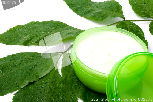 Image of face cream with green leaf 