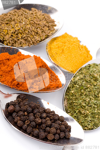 Image of various spices