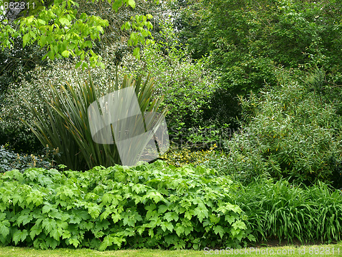 Image of Greenery background