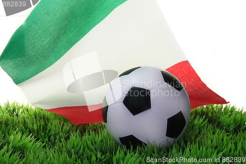 Image of Soccer World Cup 2010