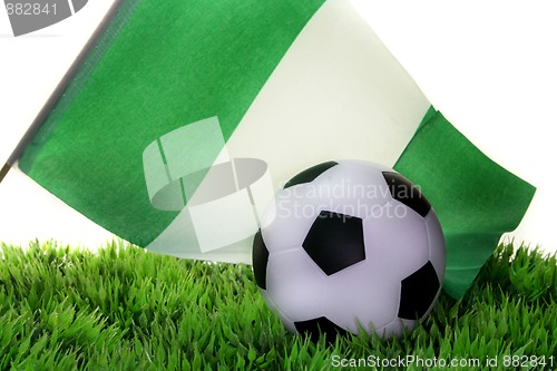 Image of Soccer World Cup 2010