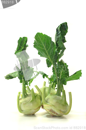 Image of three cabbage