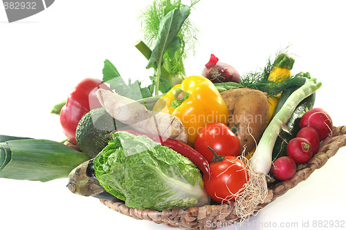 Image of Vegetable basket