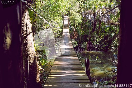 Image of entry to walking bridge in tropical forest