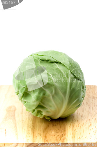 Image of green cabbage