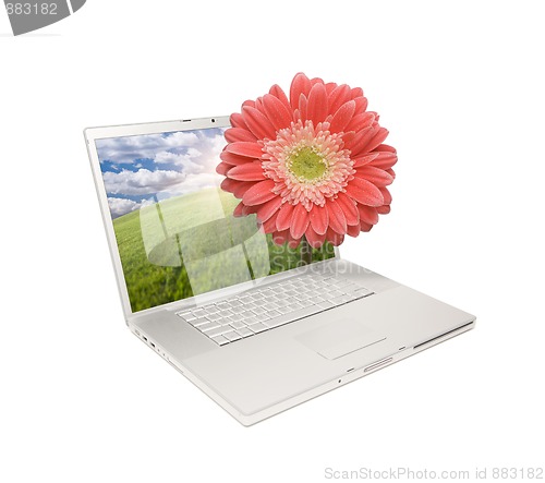 Image of Silver Computer Laptop Isolated with Gerber Daisy