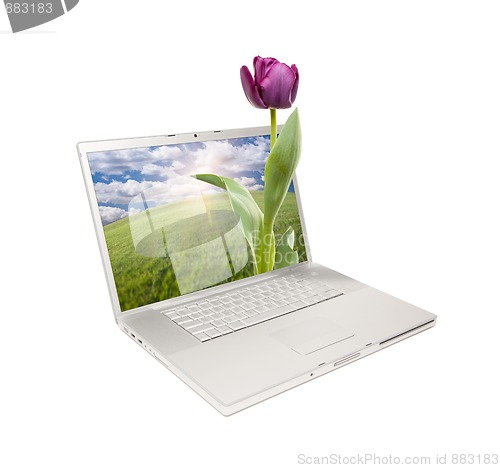 Image of Silver Computer Laptop Isolated with Tulip