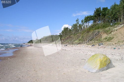 Image of Seashore