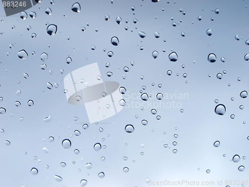 Image of Rain droplets