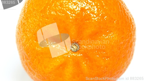 Image of Tangerine