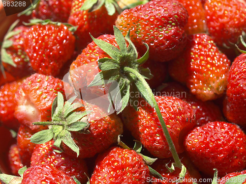 Image of Strawberries