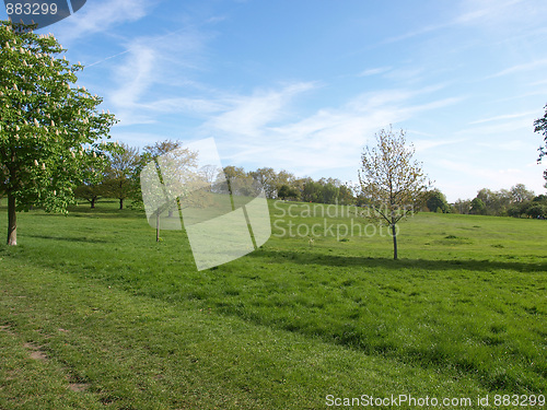 Image of Primrose Hill, London