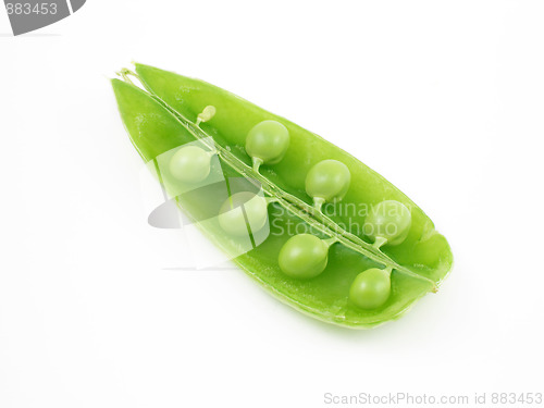 Image of Peapod