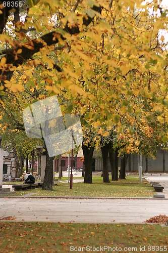 Image of Autumn in the City