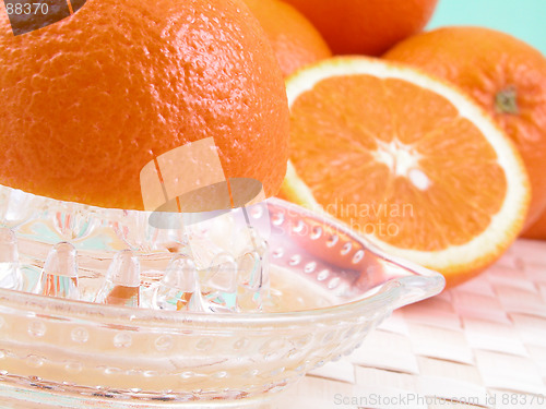 Image of orange squeezer