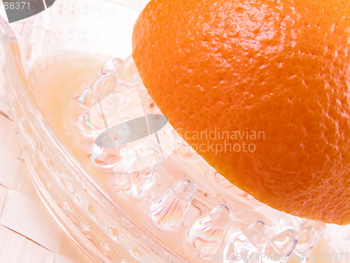 Image of orange squeezer