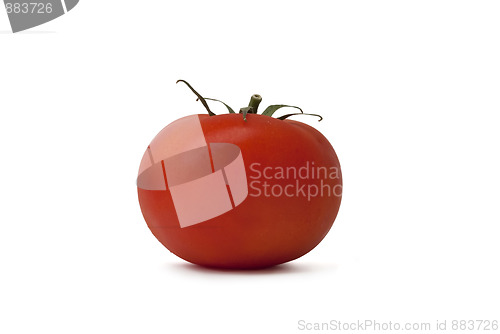Image of Isolated tomato