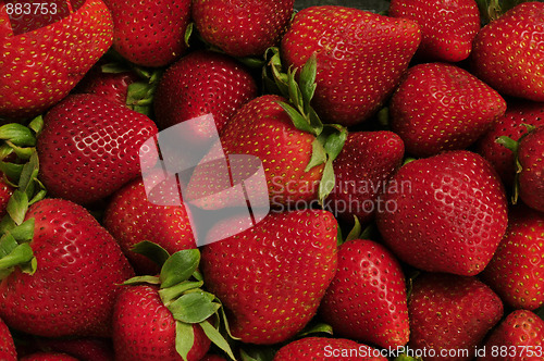 Image of Pile of red strawberries 