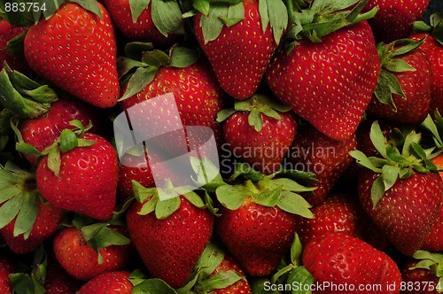 Image of Pile of red strawberries